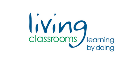 Screen Shot 2014-11-17 at 12.25.55 PM